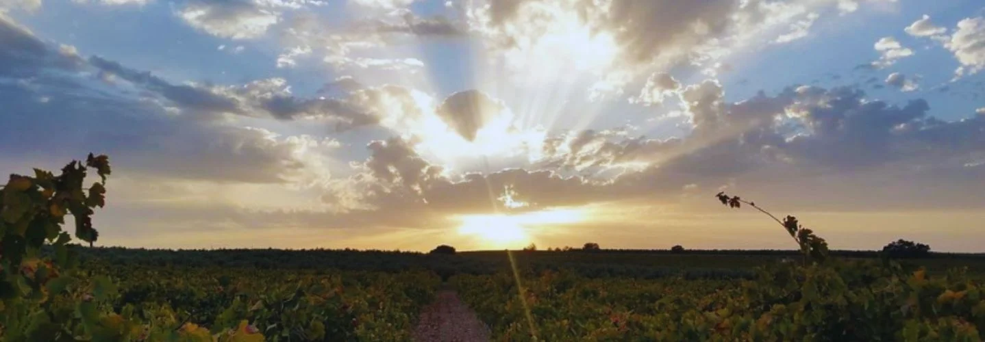 Cortijo el Patriarcal